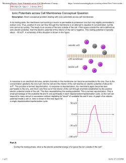 Ionic Potentials across Cell Membranes Conceptual Question