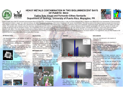 See Yadira`s poster