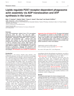 Kuenel lipids and P2X7