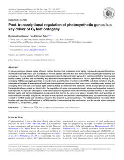 Post-transcriptional regulation of photosynthetic genes is a key