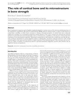 The role of cortical bone and its microstructure in