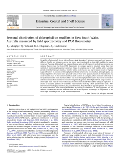 Seasonal distribution of chlorophyll on mudflats in New South Wales