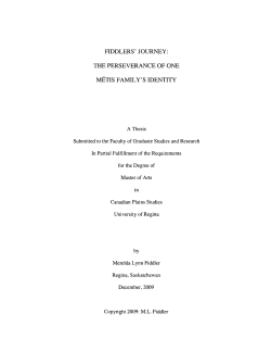 FIDDLERS`JOURNEY: THE PERSEVERANCE OF ONE METIS