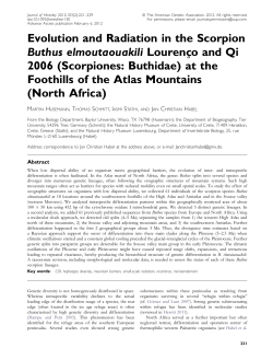 Evolution and Radiation in the Scorpion Buthus elmoutaouakili