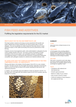 fish feed and additives