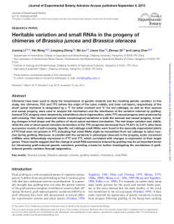Heritable variation and small RNAs in the progeny of chimeras of