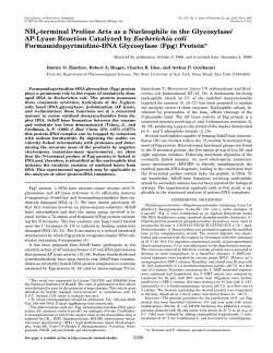 NH2-terminal Proline Acts as a Nucleophile in the