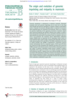 The origin and evolution of genomic imprinting and viviparity in