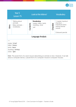 Year 5 - Nauczyciel.pl