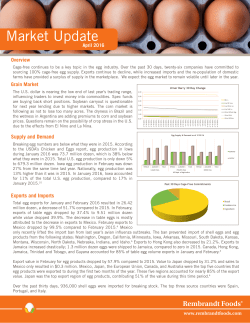 PDF - Rembrandt Foods