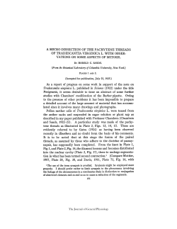 Tradescantia virginica L. published in Science