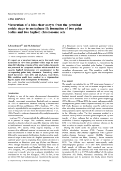 Maturation of a binuclear oocyte from the
