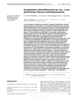 Pseudomonas chloritidismutans sp. nov., a non