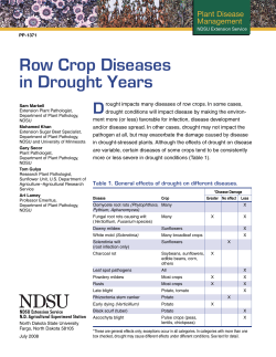 Row Crop Diseases in Drought Years
