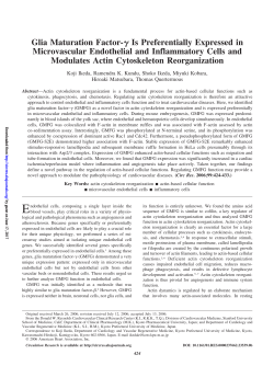 Glia Maturation Factor- Is Preferentially Expressed in Microvascular