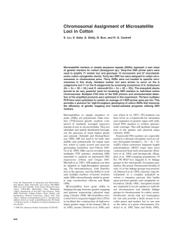Chromosomal Assignment of Microsatellite Loci in Cotton