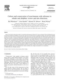 Culture and conservation of non-humans with