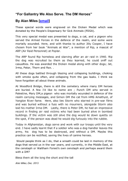 For Gallantry We Also Serve