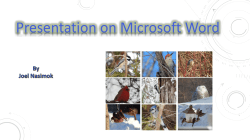 Presentation On Microsoft Word