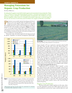 Managing Potassium for Organic Crop Production