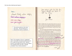 Their Eyes Were Watching God chapter 1 This would usually