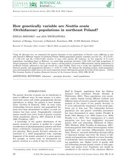 How genetically variable are Neottia ovata (Orchidaceae