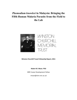 Plasmodium knowlesi in Malaysia: Bringing the Fifth Human Malaria