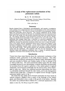 A study of the replacement mechanism of the pulmonate radula By