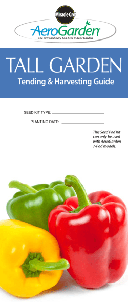 tall garden - AeroGarden