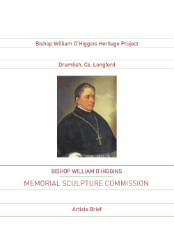 Bishop-O`Higgins-Commission-Brief