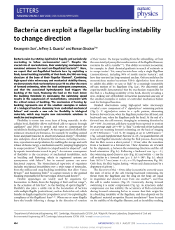 Bacteria can exploit a flagellar buckling instability to change direction