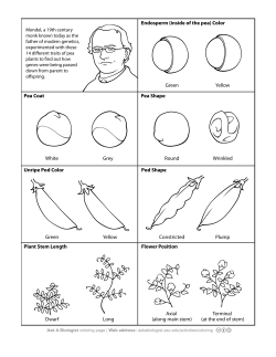 Mendel`s Peas - Ask a Biologist