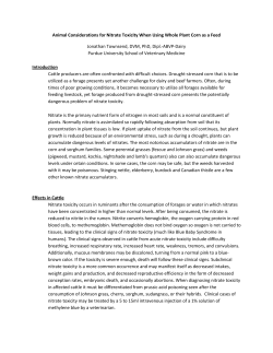 Animal Considerations for Nitrate Toxicity When