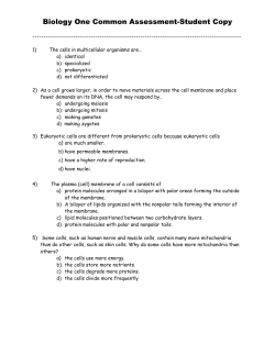 District Common Assessment - Parkway C-2