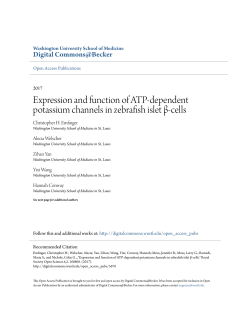 Expression and function of ATP-dependent potassium channels in