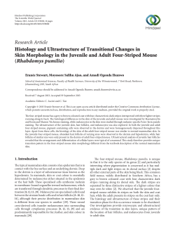 Histology and Ultrastructure of Transitional Changes in Skin