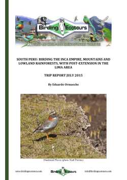 south peru: birding the inca empire, mountains and