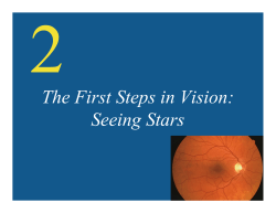 The First Steps in Vision: Seeing Stars