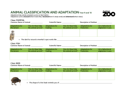 Animal Classification and Adaptation Y 9 and 10
