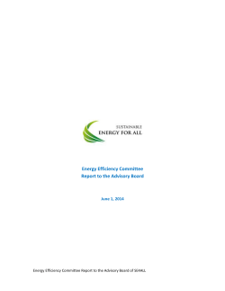 Energy Efficiency Committee Report to the Advisory Board