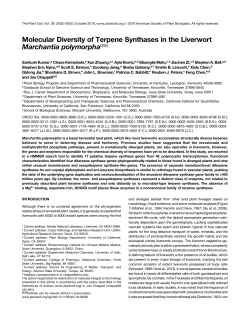 Molecular Diversity of Terpene Synthases in the Liverwort