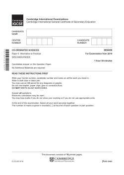 2019 Specimen Paper 6