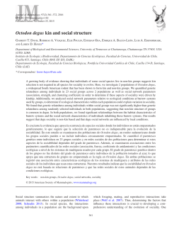 Octodon degus kin and social structure