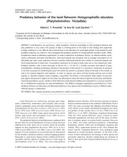 Predatory behavior of the land flatworm Notogynaphallia