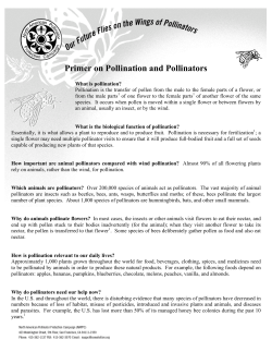 Primer on Pollination and Pollinators