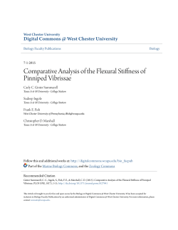 Comparative Analysis of the Flexural Stiffness of Pinniped Vibrissae