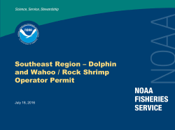 Southeast Region &ndash; Dolphin and Wahoo / Rock Shrimp Operator