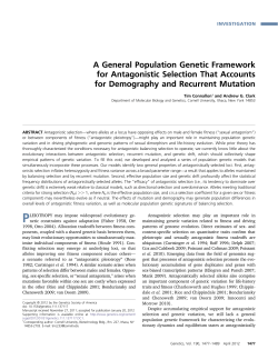 A General Population Genetic Framework for Antagonistic