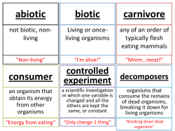 abiotic biotic carnivore consumer