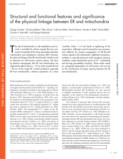 Structural and functional features and significance of the physical